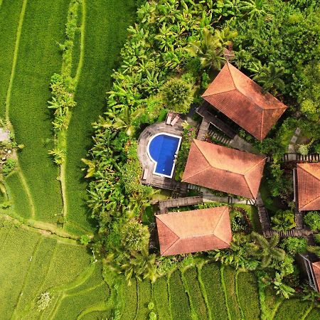 Barong Villas سيديمين المظهر الخارجي الصورة
