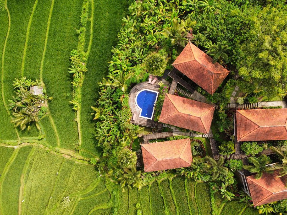 Barong Villas سيديمين المظهر الخارجي الصورة