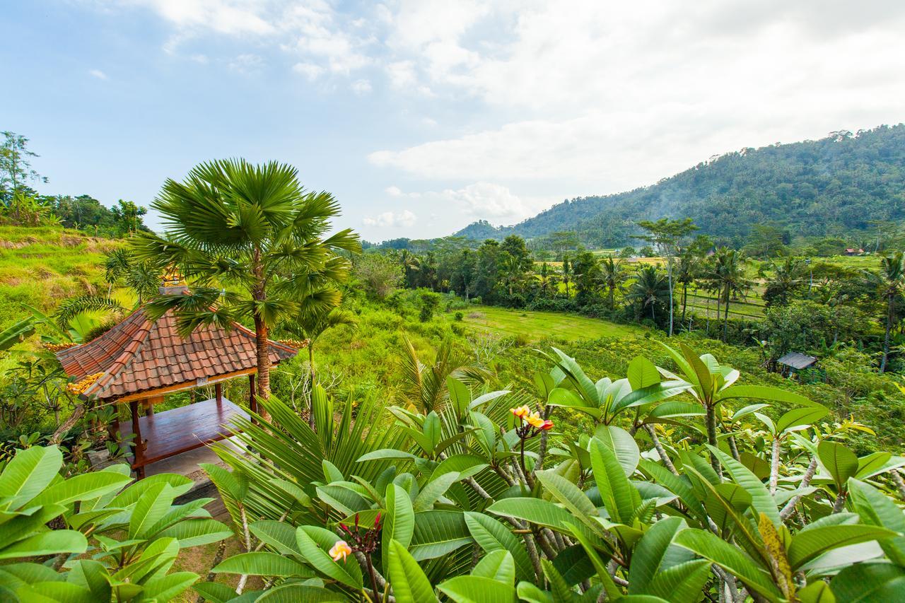 Barong Villas سيديمين المظهر الخارجي الصورة