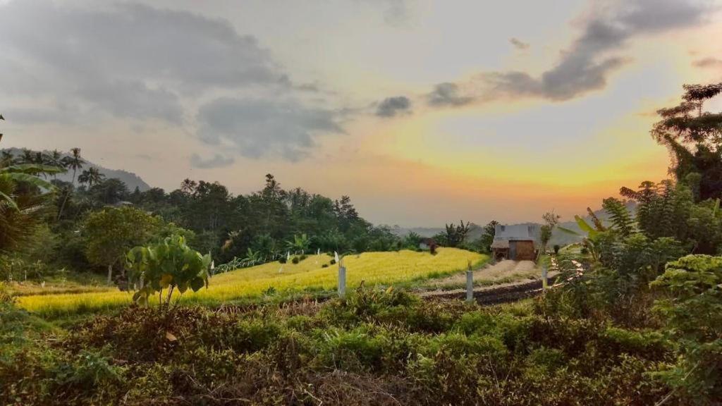 Barong Villas سيديمين المظهر الخارجي الصورة