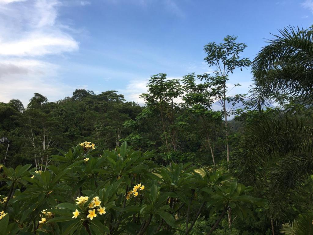 Barong Villas سيديمين المظهر الخارجي الصورة